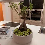 Apartman Fortuna *
