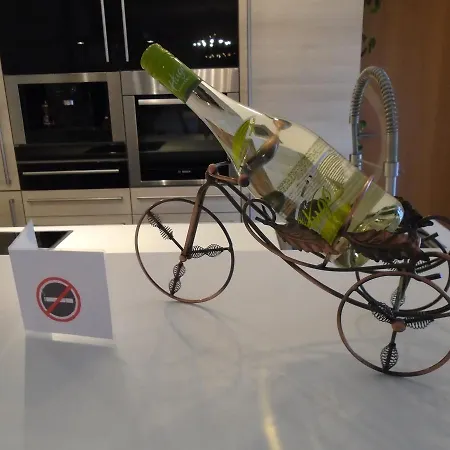 Daire Fortuna Saalfelden