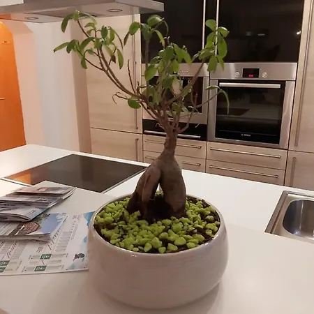 Apartamento Fortuna *